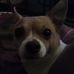 Profile Picture of Scott Denison (@Scott-Denison) on Facebook