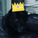 Profile Picture of stephen bennett (@stephenbennettthebold) on Instagram