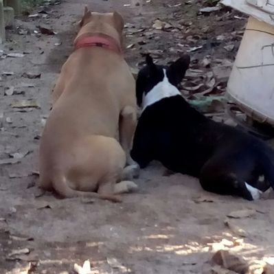 Profile Picture of Guillermo Estevez L (@estevezlg) on Twitter