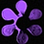 Profile Picture of Daisy + (@daisy +) on Flickr
