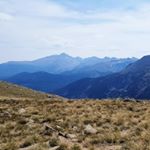 Profile Picture of Crystal Dawn 🦔 (@crystaldawn356) on Instagram