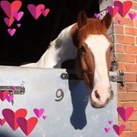 Profile Picture of Leonie Bushell (@leoniebushell) on Pinterest