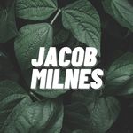 Profile Picture of Jacob Milnes (@jacob_milnes) on Instagram
