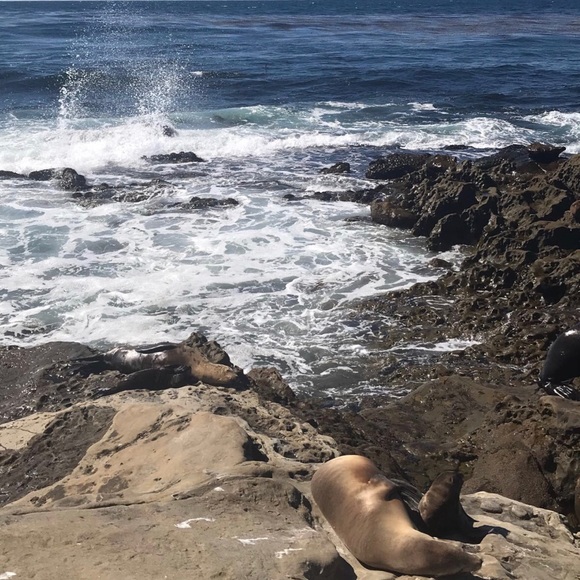 Gianna Satriano - Poshmark Profile Picture of Gianna Satriano (@gsatriano) on Poshmark