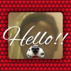 Profile Picture of Brandon Keyes (@@brandonkeyes11) on Tiktok