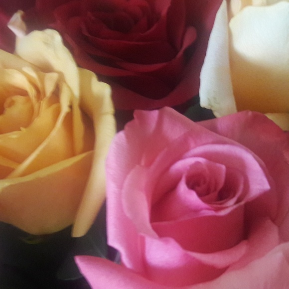 Profile Picture of Candy Charles (@lovingit949) on Poshmark