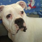 Profile Picture of James Whelchel (@country_boy82403) on Instagram