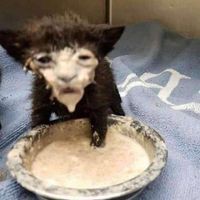 Profile Picture of Cheyenne Proctor (@cheyenne-proctor-4) on Quora