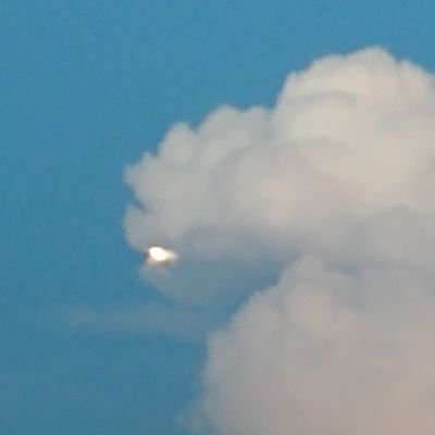 Profile Picture of Francisco Basilio De Castro Neto (@Francis52977467) on Twitter