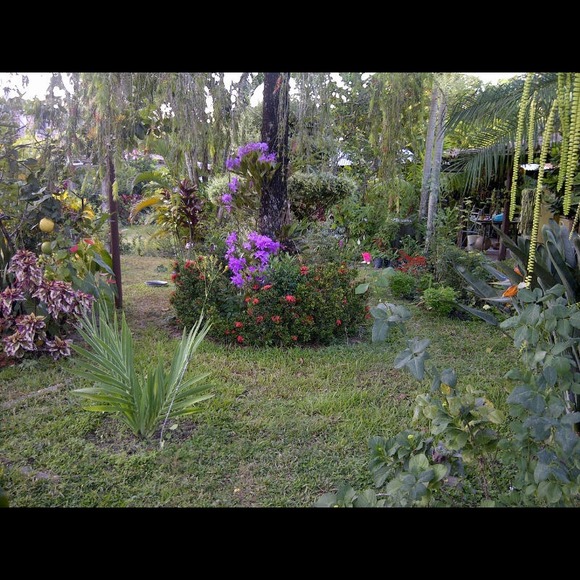 Profile Picture of Imelda Carlota (@chiquitilla) on Poshmark