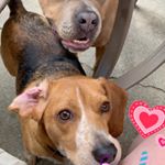 Profile Picture of Stella Harper Merckling (@stellaaa_harper) on Instagram