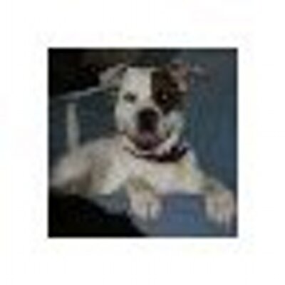 Profile Picture of Lucy Olson (@lucyolson4) on Twitter