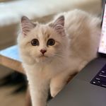 Profile Picture of Bobbus Babbus (@bobbus.babbus) on Instagram