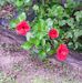 Profile Picture of Myrna Marstin (@myrna.marstin.96) on Facebook