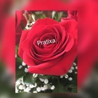 Profile Picture of Pratixa Patel (@pratixapatel1972) on Pinterest