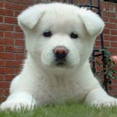 Profile Picture of Patrick Alvarado (@patrick_2_2) on Twitter