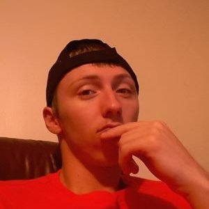 Profile Picture of Andrew Brasfield (@PunchinDucks) on Twitter