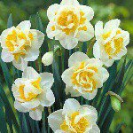 Profile Picture of kamalhashem (@kamal.hachem1) on Instagram