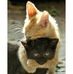 Profile Picture of Doris Hays (@doris.hays.710) on Facebook