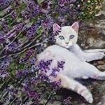 Mindy Perez - Instagram Profile Picture of Mindy Perez (@simonsrosalia64) on Instagram