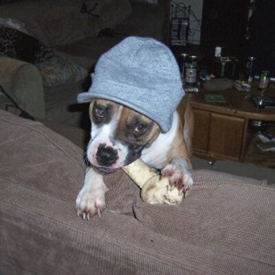 Profile Picture of Chris Thayer (@DirtyDeedsOlyWA) on Twitter