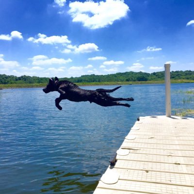 Profile Picture of Scott C Tussey (@Tuss55) on Twitter