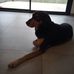 Profile Picture of Jo Kara (@jo.kara.1612) on Facebook