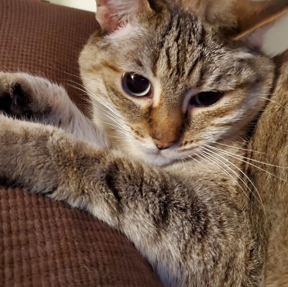 Alex Vasilakis - Poshmark Profile Picture of Alex Vasilakis (@alexndra1234) on Poshmark