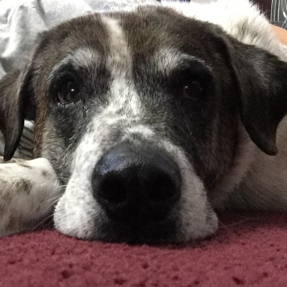 Profile Picture of Erica Chappell (@erica_chappell) on Poshmark