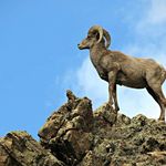 Profile Picture of Jim Rayburn (@jim.rayburn.583) on Instagram