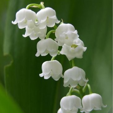 Amy Thoreson - Twitter Profile Picture of Amy Thoreson (@AECT90) on Twitter