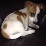 Profile Picture of Fred And Poppy (@fred_poppy_) on Instagram