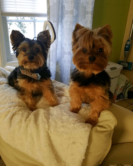 Profile Picture of Gary Mincolla (@mancolla) on Poshmark