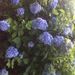 Profile Picture of Portia Richardson (@portia0799) on Pinterest