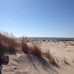 Profile Picture of Erin Stahl-Staub (@stahlstaub) on Instagram