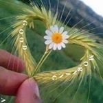 Profile Picture of Kumar Vinod (@vijay.upadhyay.963871) on Instagram