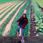 Profile Picture of Annabelle Phillips🌻 (@asp.33) on Instagram