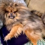 Vikki Vaughn Gillett - Instagram Profile Picture of Vikki Vaughn Gillett (@vikkivaughngillett) on Instagram