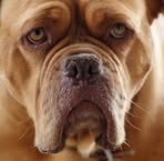 Profile Picture of Scott Orchard (@scott.orchard.1460) on Facebook