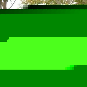 Profile Picture of Joseph Mailkoff (@376881585) on Myspace