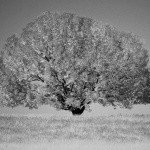 Profile Picture of ARMAND (@morellhampsongy1) on Instagram