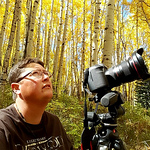 Profile Picture of Tina Grimm (@grimmtina) on Flickr