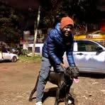 Profile Picture of Derrick Mulee (@Derrick-Mulee) on Facebook