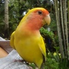 Profile Picture of thelma (@@user736919904) on Tiktok