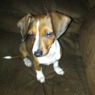 Profile Picture of Allen Stanford (@allen.stanford.7737) on Facebook