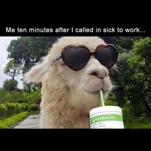 Profile Picture of Robin Romanelli (@robinromanelli2) on Poshmark