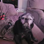 Profile Picture of Lawrence Quesnell (@Lawrence-Quesnell) on Facebook