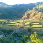 Jimmy Dizon - Instagram Profile Picture of Jimmy Dizon (@kcpjdizon) on Instagram