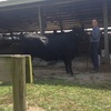 Profile Picture of Jimmy Cagle (@@30189295633) on Tiktok