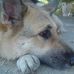 Profile Picture of Brandy Lambert (@brandy.lambert.16) on Facebook